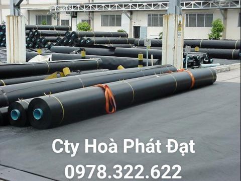 ĐỊA CHỈ CUNG CẤP BẠT LÓT AO HỒ NUÔI TÔM CÁ HDPE TẠI SÀI GÒN