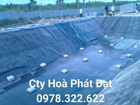 ĐỊA CHỈ CUNG CẤP BẠT LÓT AO HỒ NUÔI TÔM CÁ HDPE TẠI QUẬN 7 TP HỒ CHÍ MINH